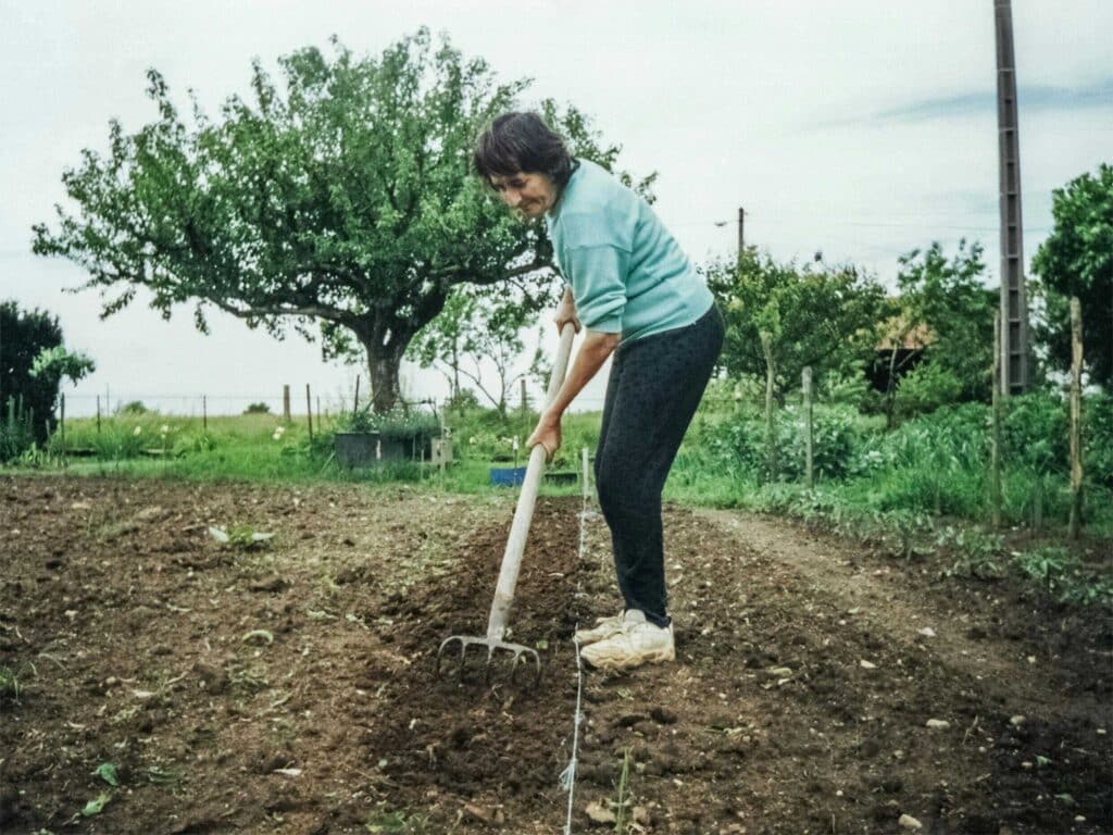 Qu'est-ce que le jardinage biodynamique et pourquoi est-il si populaire ?