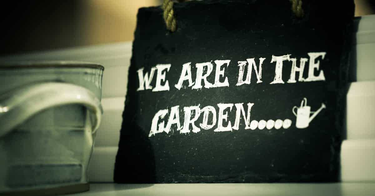 découvrez tous nos conseils et astuces pour un jardinage réussi, des idées d'aménagement et de décoration pour votre jardin, et des articles sur les plantes et les fleurs.