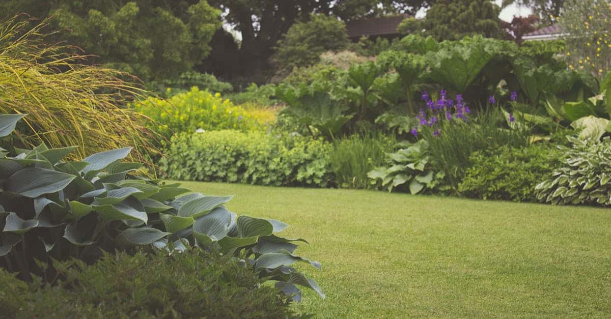 service d'entretien de pelouse professionnel pour un gazon vert et luxuriant. nos experts en jardinage offrent des solutions efficaces pour une pelouse en santé toute l'année.